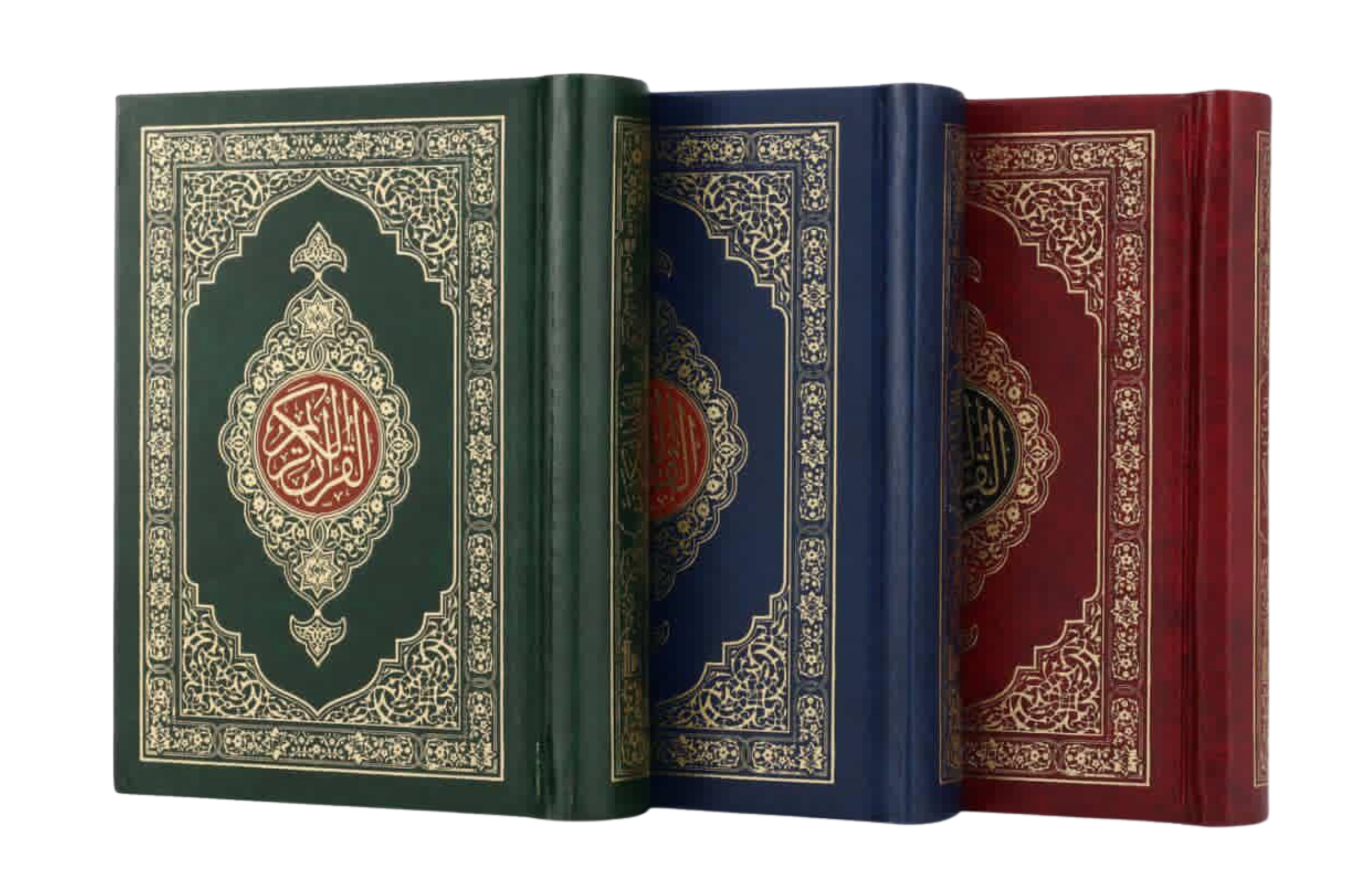 sheroze rathik resume updated.pdf (2)